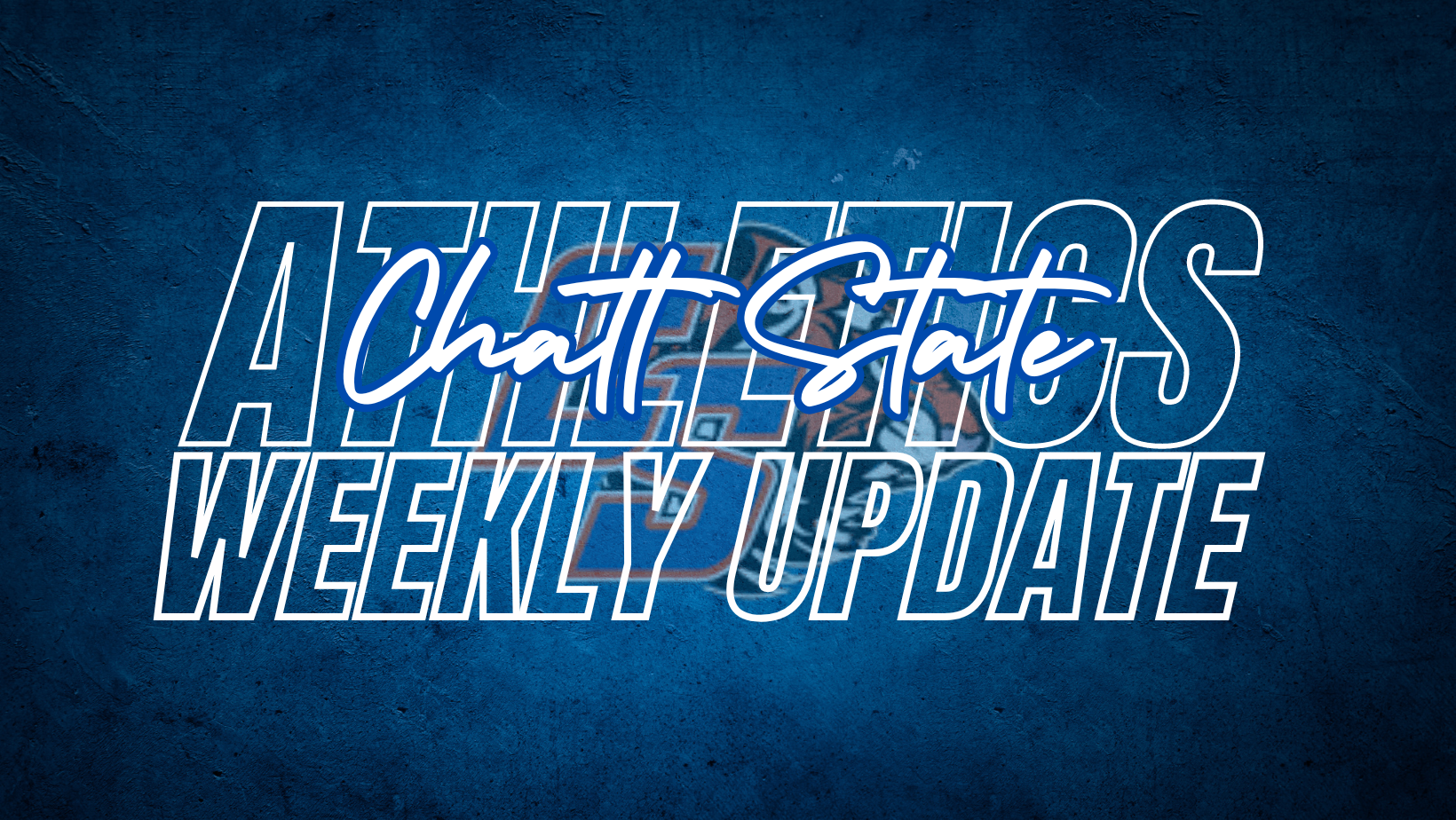 Tiger Volleyball Weekly Results 9.8.24